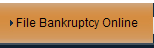 File Bankruptcy Online