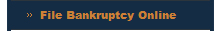 File Bankruptcy Online